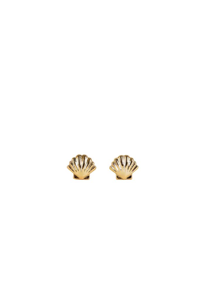 Dainty seashell stud earrings