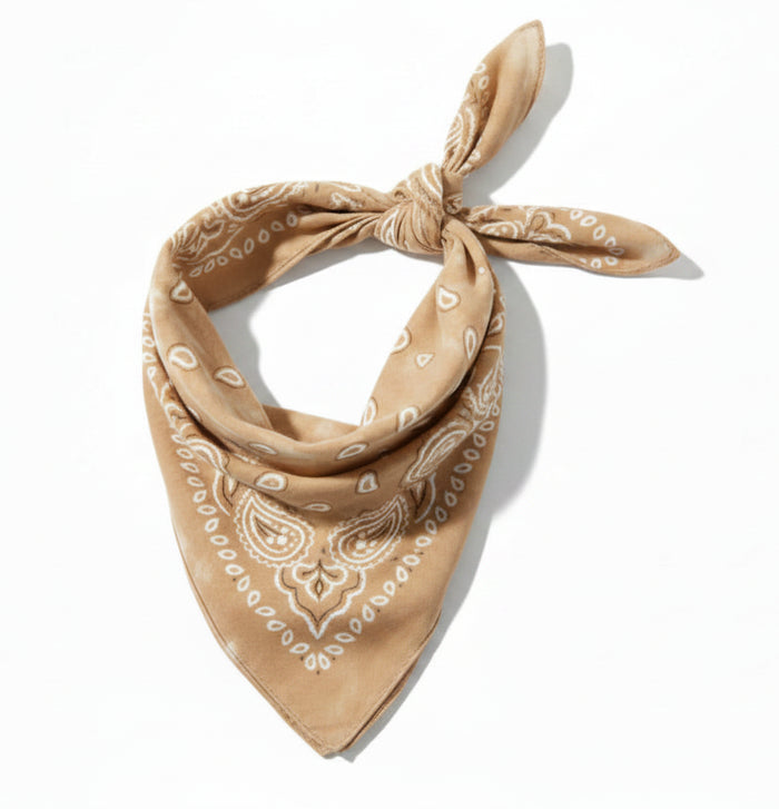 Brown Hues Hand Dyed Bandana
