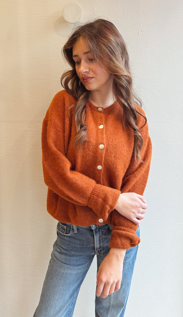 Vitow Cardigan in Copper