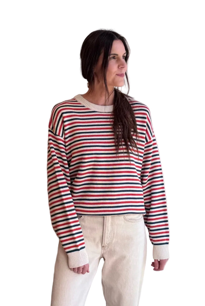 Campbell Sweater in Multi Stripe