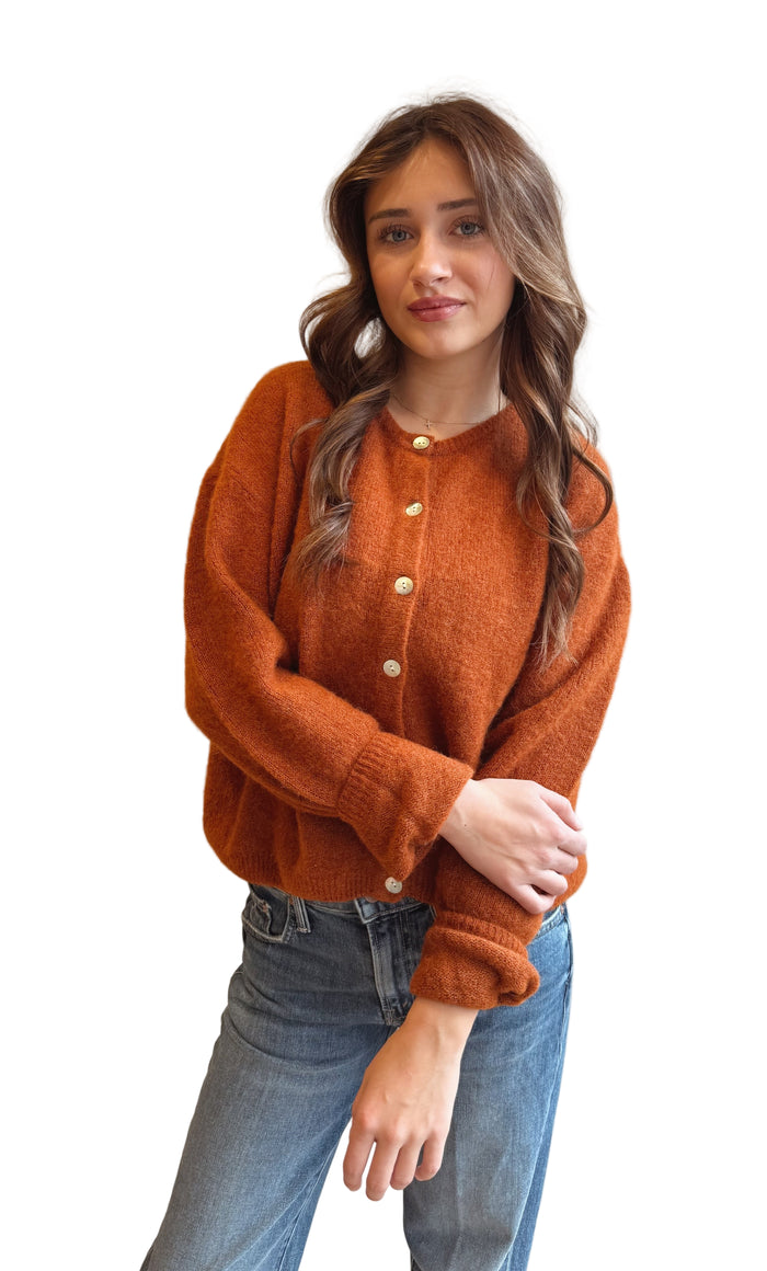 Vitow Cardigan in Copper
