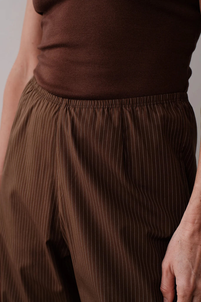 Pop Pinstripe Simple Pant in Walnut