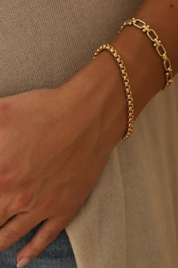 Nova Gold round box chain bracelet