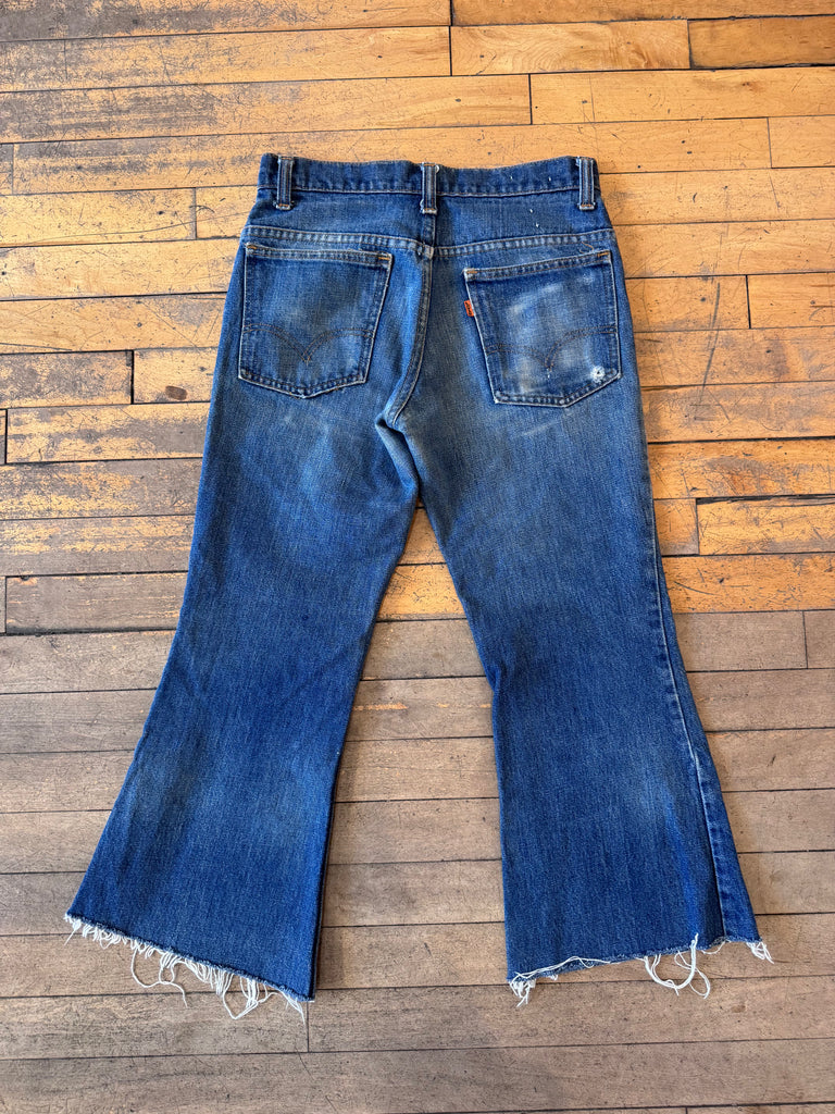 VINTAGE Levis 646- 25