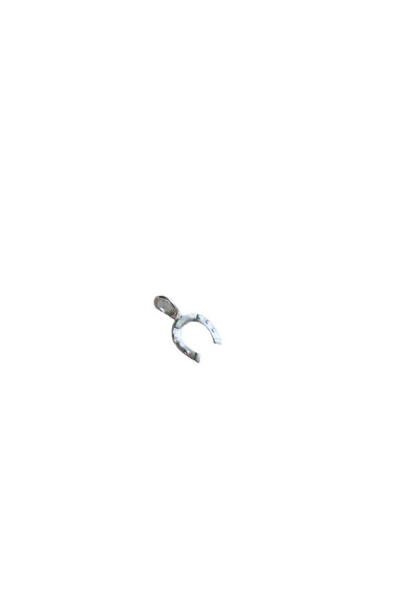 Horseshoe Charm