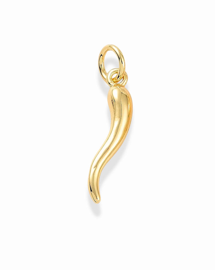 Italian Horn Charm