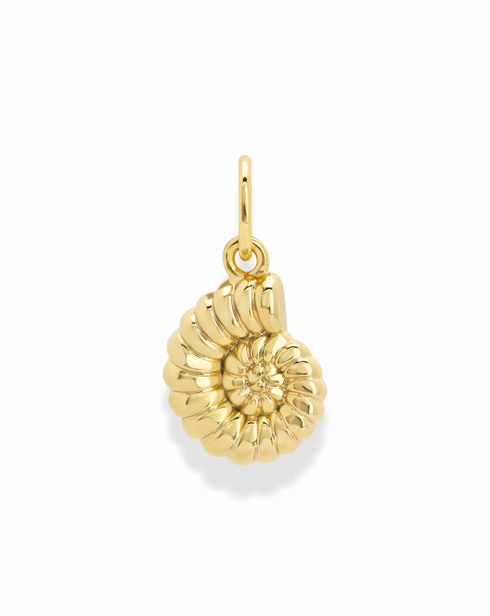 Shell Charm