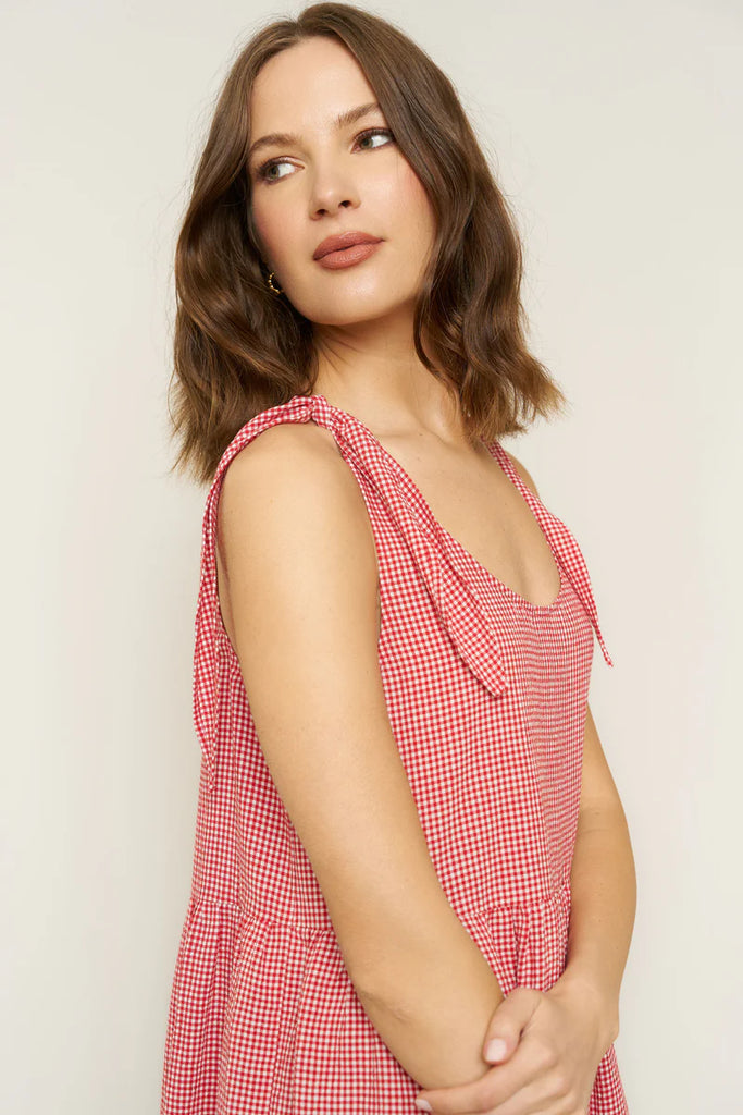 Red & white gingham Kate dress